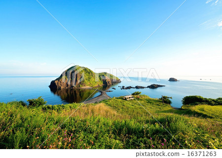 佐渡島Natsu龜灘 16371263