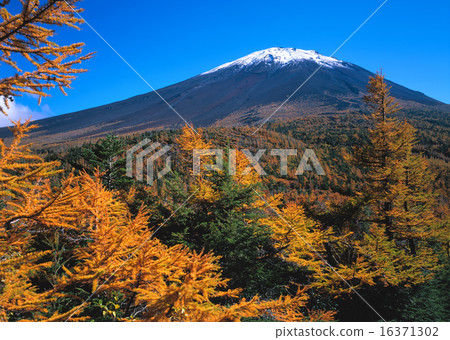 Fuji Fifth Fall Fall Fuji Fifth Fall Fall 16371302