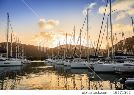 Marina in Tortola Marina in Tortola 16371562