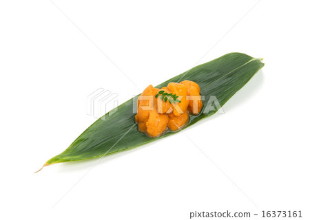 Sashimi sea urchin on bamboo leaves Sashimi sea urchin on bamboo leaves 16373161