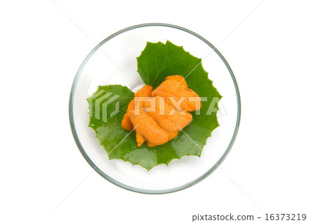 生麵條 16373219