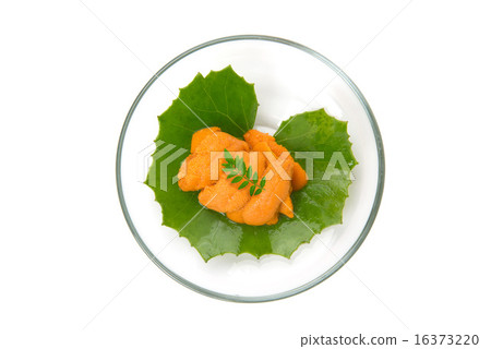 生麵條 生麵條 16373220