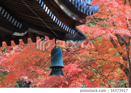 Japanese temple s roof of Nanzen-ji 16373917