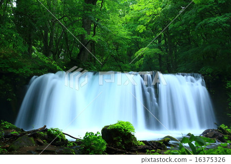 Oirase Stream Choshi Otaki 16375326