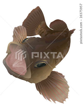 Meval - Stock Illustration [16375957] - PIXTA