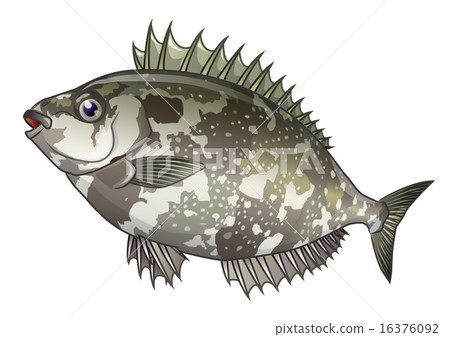 An aigo An aigo 16376092