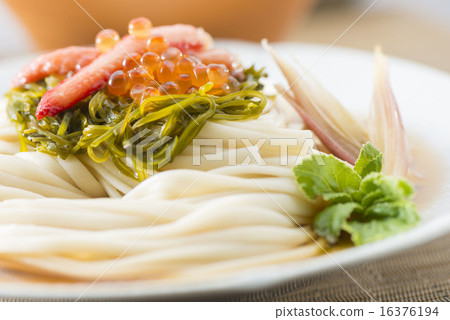 Udon Udon 16376194