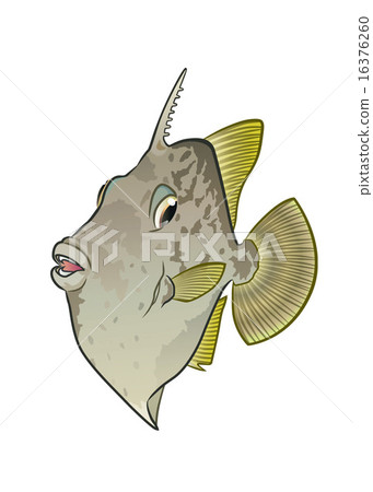 卡瓦哈希 卡瓦哈希 16376260