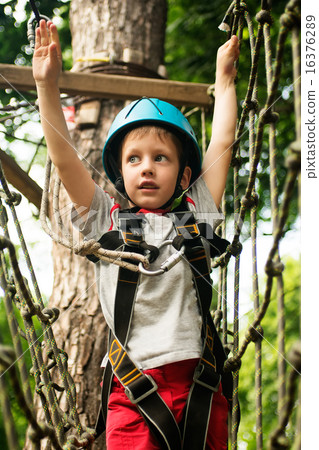Five year boy on rope-way in forest Five year boy on rope-way in forest 16376289