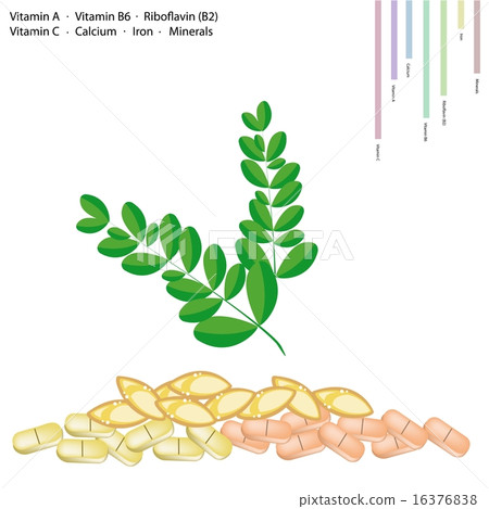Moringa Leaves with Vitamin A, B6, B2 and C 16376838