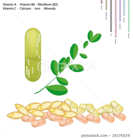 Fresh Moringa Leaves with Vitamin A, B6, B2 and C 16376839