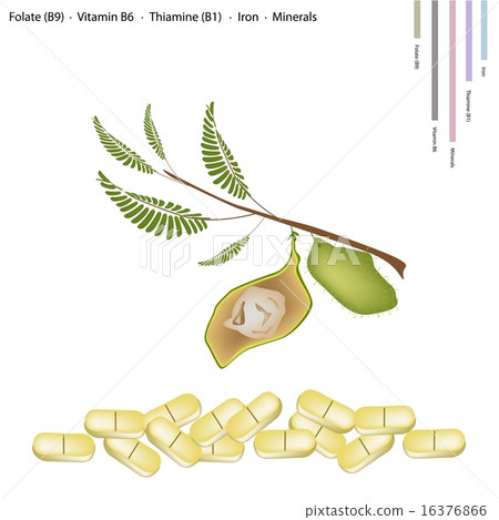 Chickpea with Vitamin B9, B6 B1 and Iron Chickpea with Vitamin B9, B6 B1 and Iron 16376866