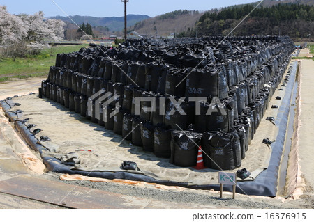 Iidate Village decontamination temporary provisional place cherry blossoms 16376915