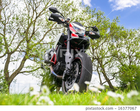 Nestled in fresh green, Motard type large motorcycle Nestled in fresh green, Motard type large motorcycle 16377067