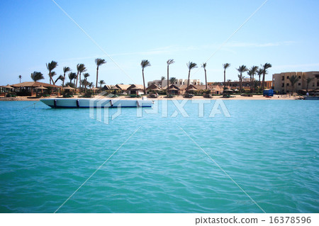 Hotel, El Gouna Hotel, El Gouna 16378596