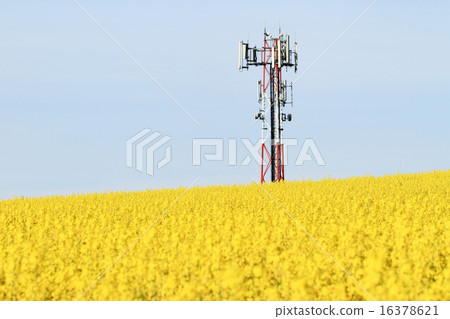 Gsm transmitter on a field Gsm transmitter on a field 16378621