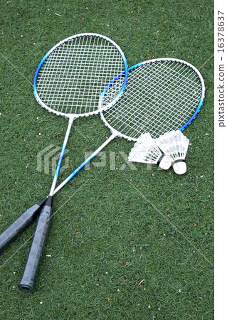 羽毛球 羽毛球 16378637