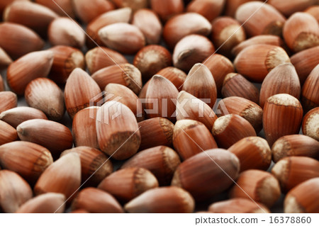Tasty hazelnuts, close up 16378860