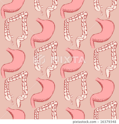 Sketch stomach and rectum in vintage style Sketch stomach and rectum in vintage style 16379348