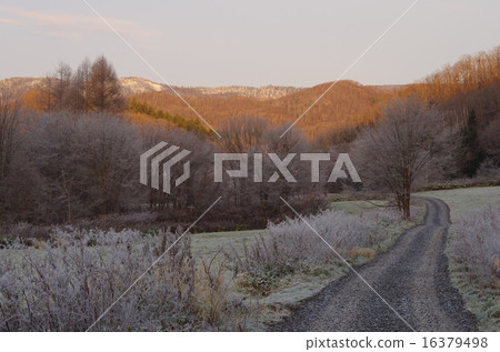 北海道,立冬 北海道,立冬 16379498