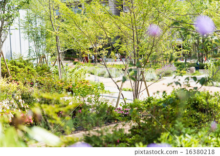 一個花園 16380218