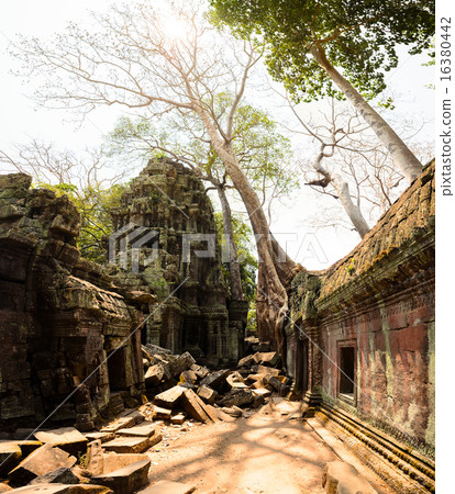 Ta Prohm Ta Prohm 16380442