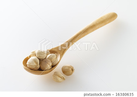 cardamom cardamom 16380635
