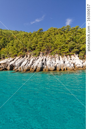 Green island 16380657