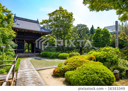 新鮮綠色的Genkaian 16381049