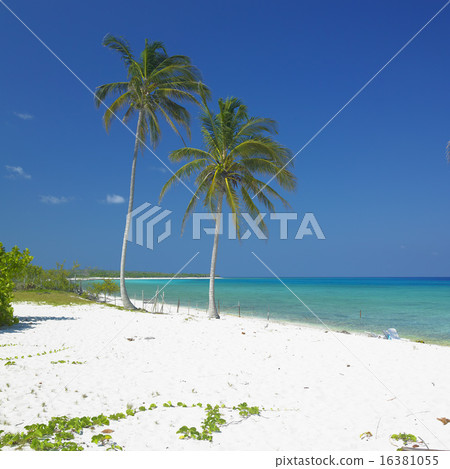 Maria la Gorda Beach, Pinar del Rio Province, Cuba Maria la Gorda Beach, Pinar del Rio Province, Cuba 16381055