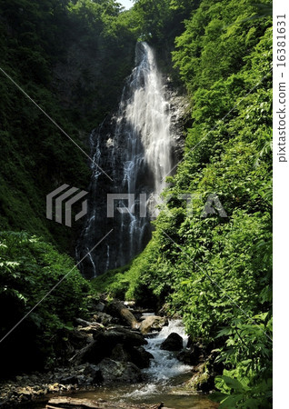 Shirakami mountain · Kurokuma waterfall 16381631