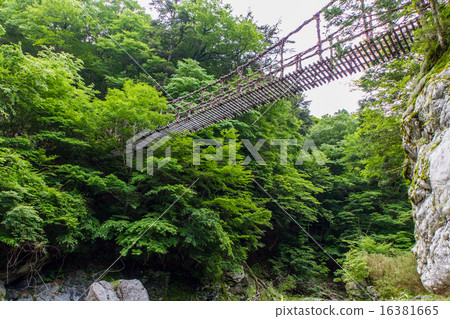 德島縣Oku Iya Double Kazuraibashi Otobashi 德島縣Oku Iya Double Kazuraibashi Otobashi 16381665