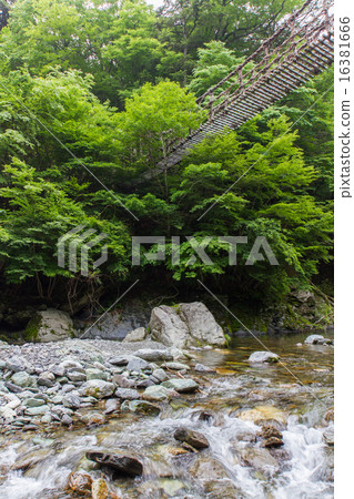 德島縣Oku Iya Double Kazuraibashi Otobashi 16381666