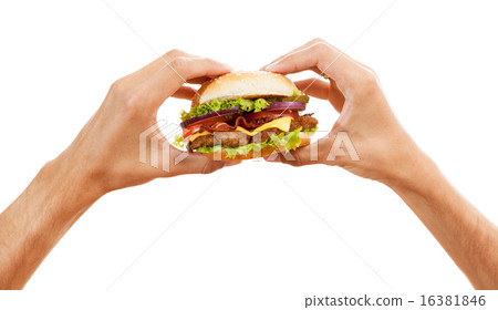 Hands holding a hamburger 16381846