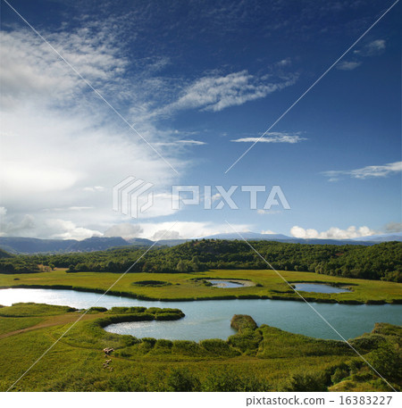 Sheep grazing 16383227