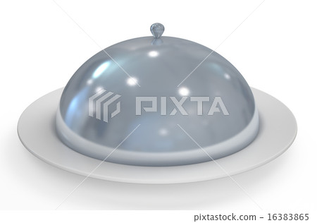 silver restaurant cloche with plate 16383865