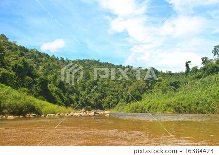 River in deep forest 16384423