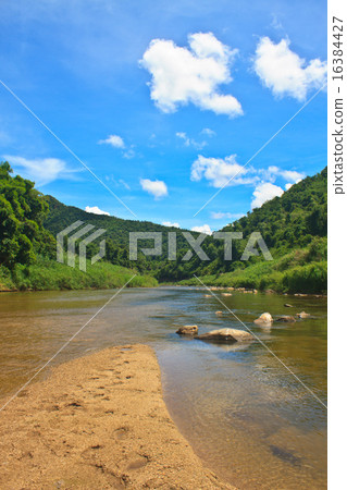 River in deep forest River in deep forest 16384427