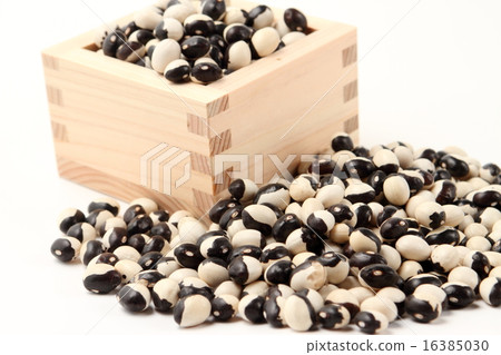Panda beans 16385030