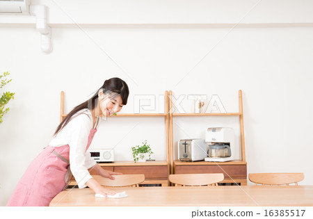 Housewife (cleaning) 16385517