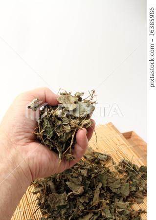 Healthful Dokudami tea 16385986