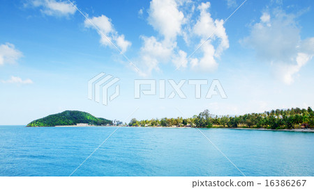 Andaman Shore 16386267