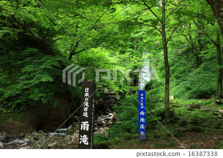 雨瀑布 雨瀑布 16387338
