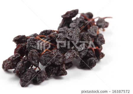 Branched dried vine 16387572