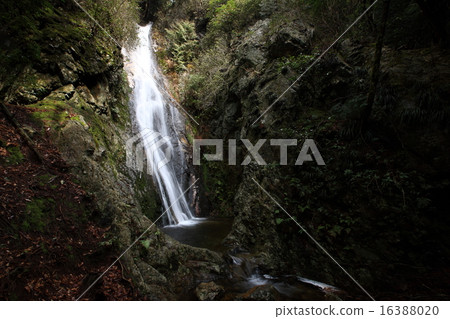 Shimomi 48th Falls 16388020