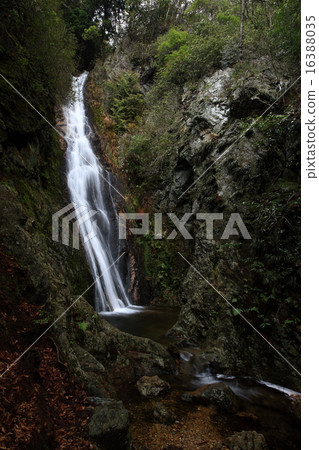 Shimomi 48th Falls 16388035