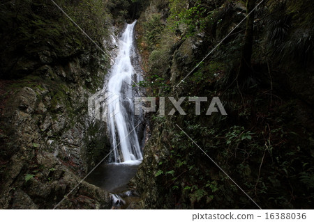 Shimomi 48th Falls 16388036