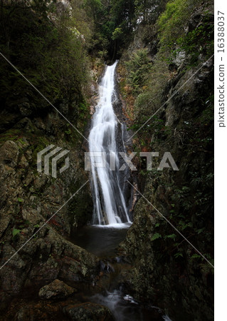 Shimomi 48th Falls 16388037