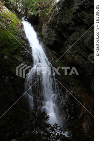 Shimomi第48瀑布 16388085