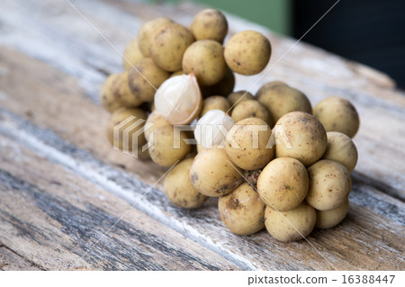 Lansium demesticum Corr fruit 16388447